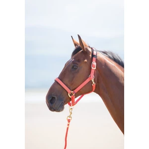 Shires Topaz Nylon Headcollar in Orange