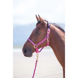 Shires Topaz Nylon Headcollar in Raspberry