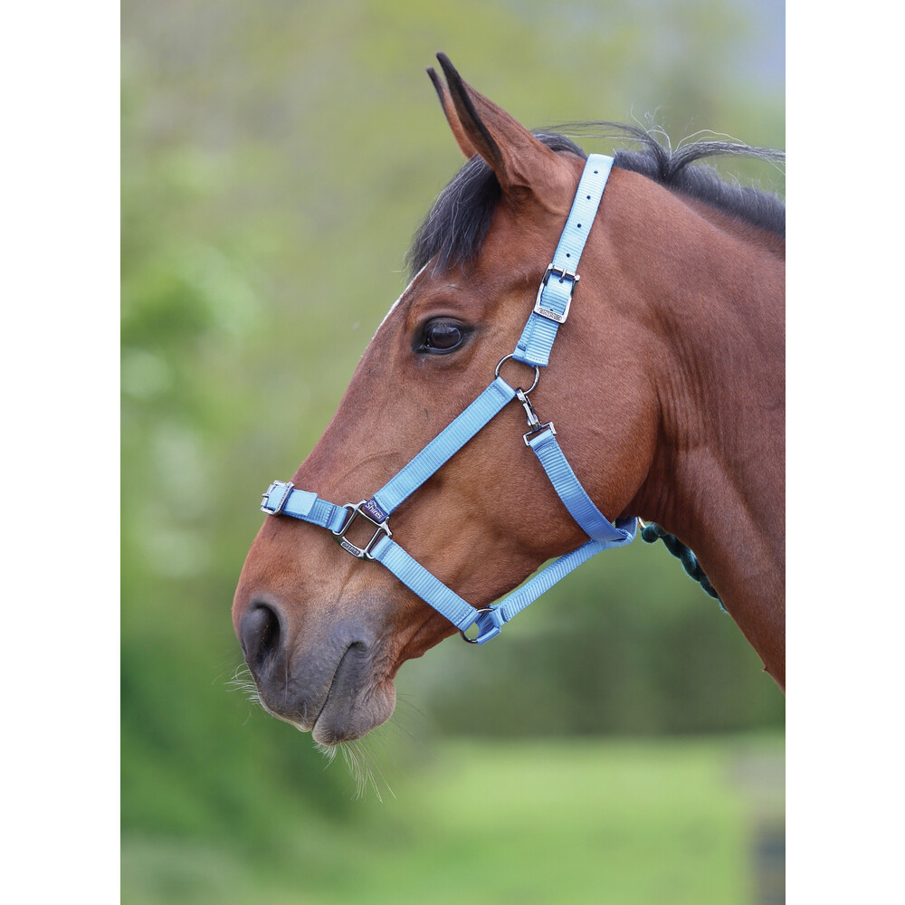 Shires Pro Adjustable Headcollar