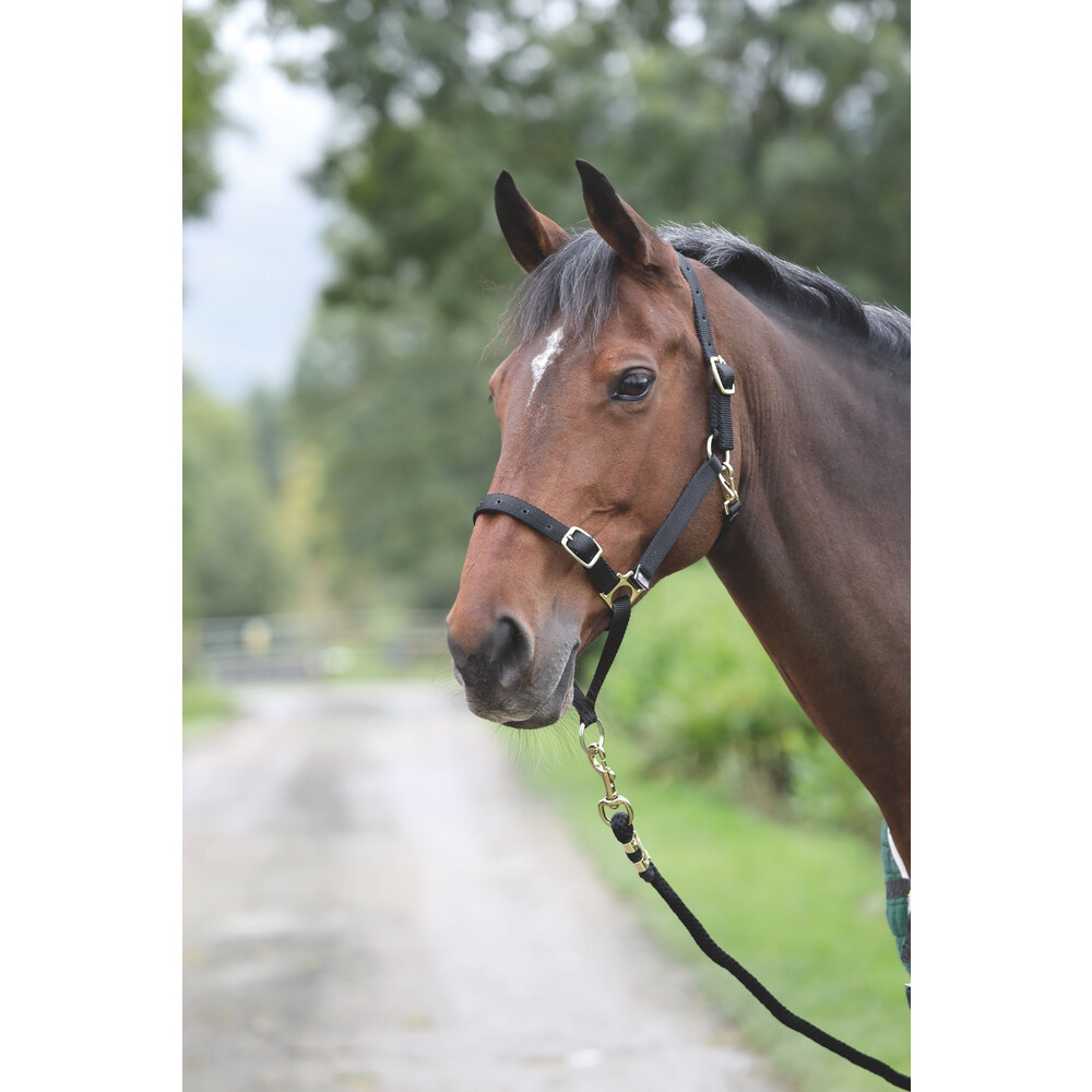Shires Control Headcollar