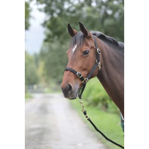 Shires Control Headcollar in Black