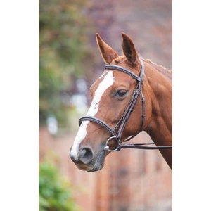 Avignon Raised Cavesson Bridle in Black