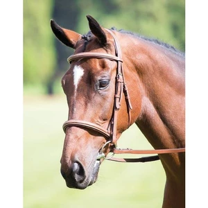 Avignon Raised Cavesson Bridle in Oak