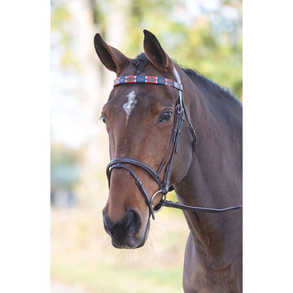 Velociti Leather Polo Browband 