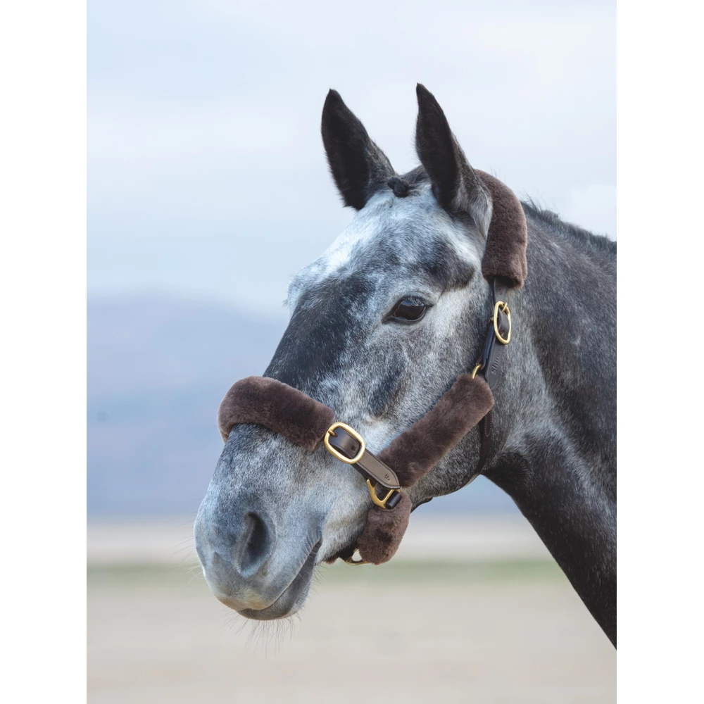 Arma Performance SupaFleece Halter Fleece Attachments in Brown