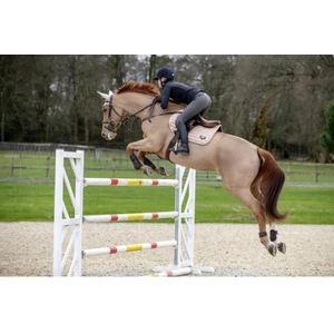 LeMieux DISC -  Loire Memory Satin Close Contact Square  - Champagne in Champagne