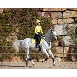 LeMieux DISC - My  Base Layer - Citron in Citron