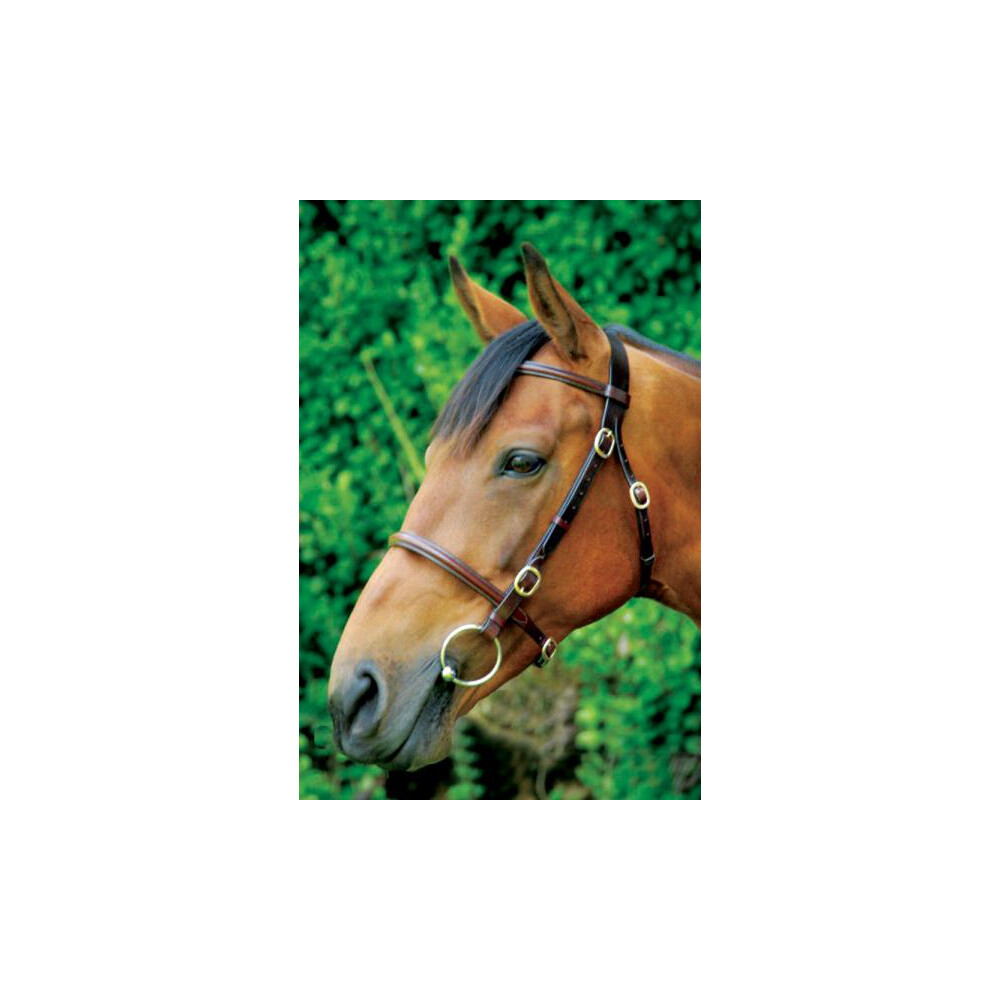 Celtic Equine Supplies Inhand Bridle Plain Full Grain 