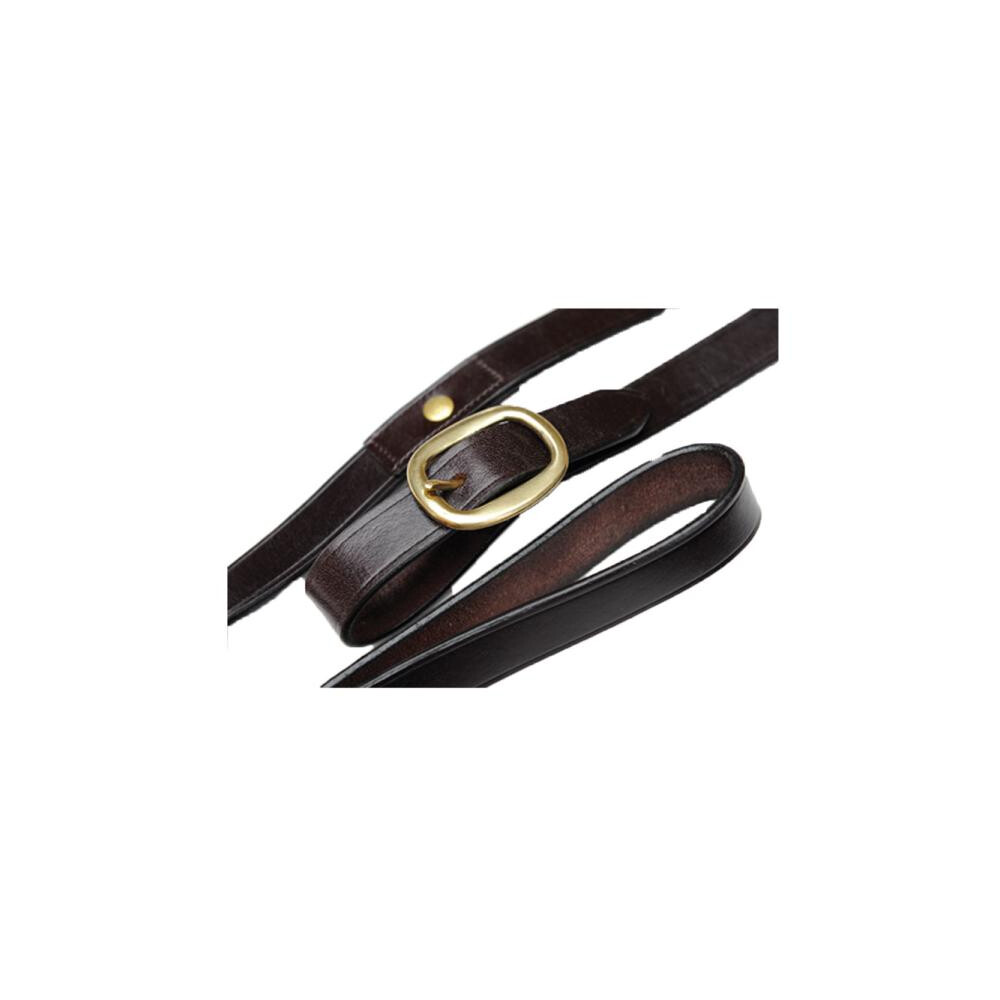 Celtic Equine Supplies Long Leather Lead