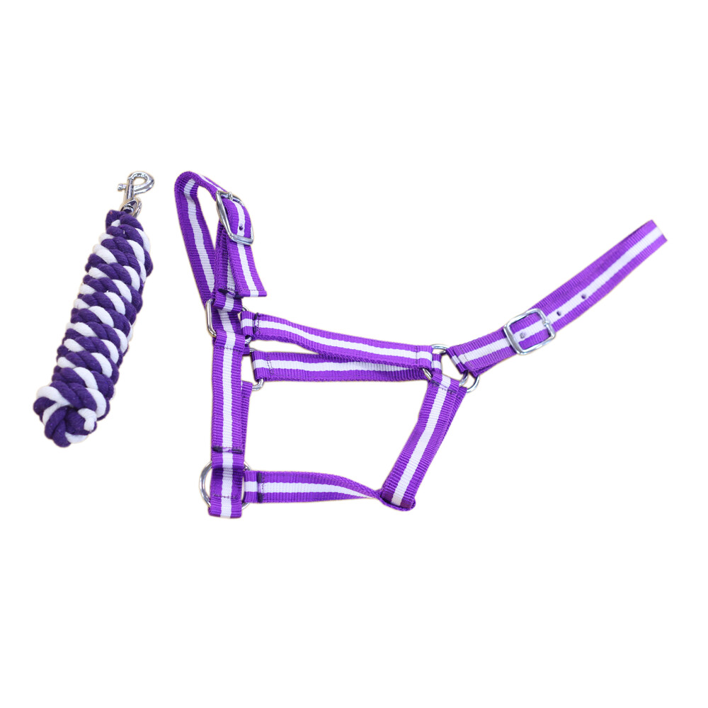 Equisential Economy Headcollar & Leadrope Set