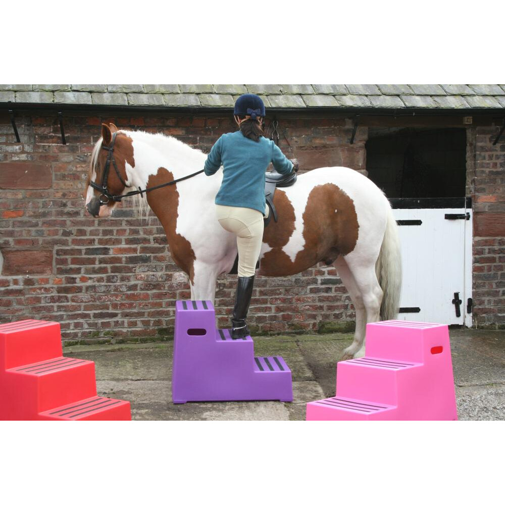 Classic Jumps Premium 3 Step Mountie - Heavy Duty 
