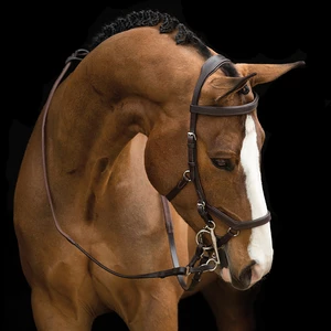 Rambo Micklem Competition Bridle in Dark Havana