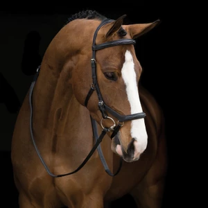 Rambo Micklem Deluxe Competition Bridle 
