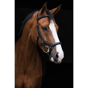 Rambo Micklem Deluxe Competition Bridle in Black