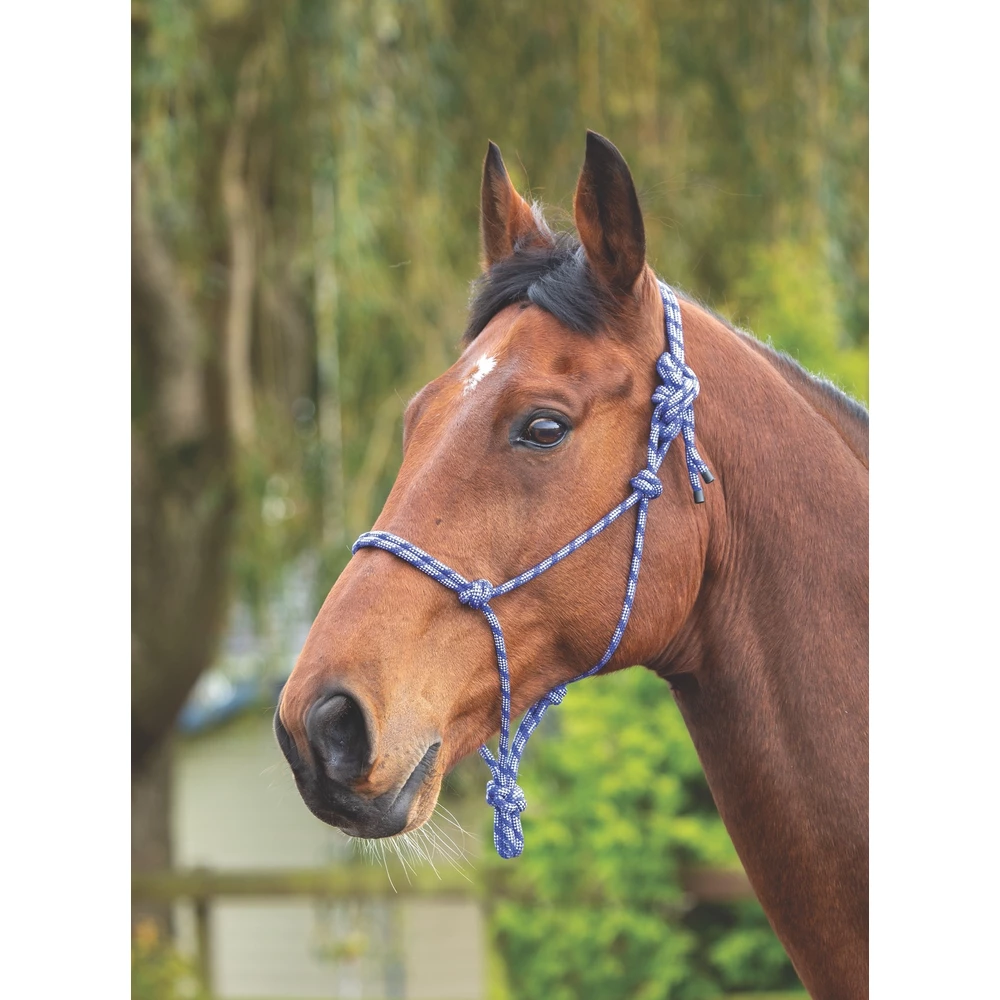 Shires Rope Control Headcollar in Navy/White