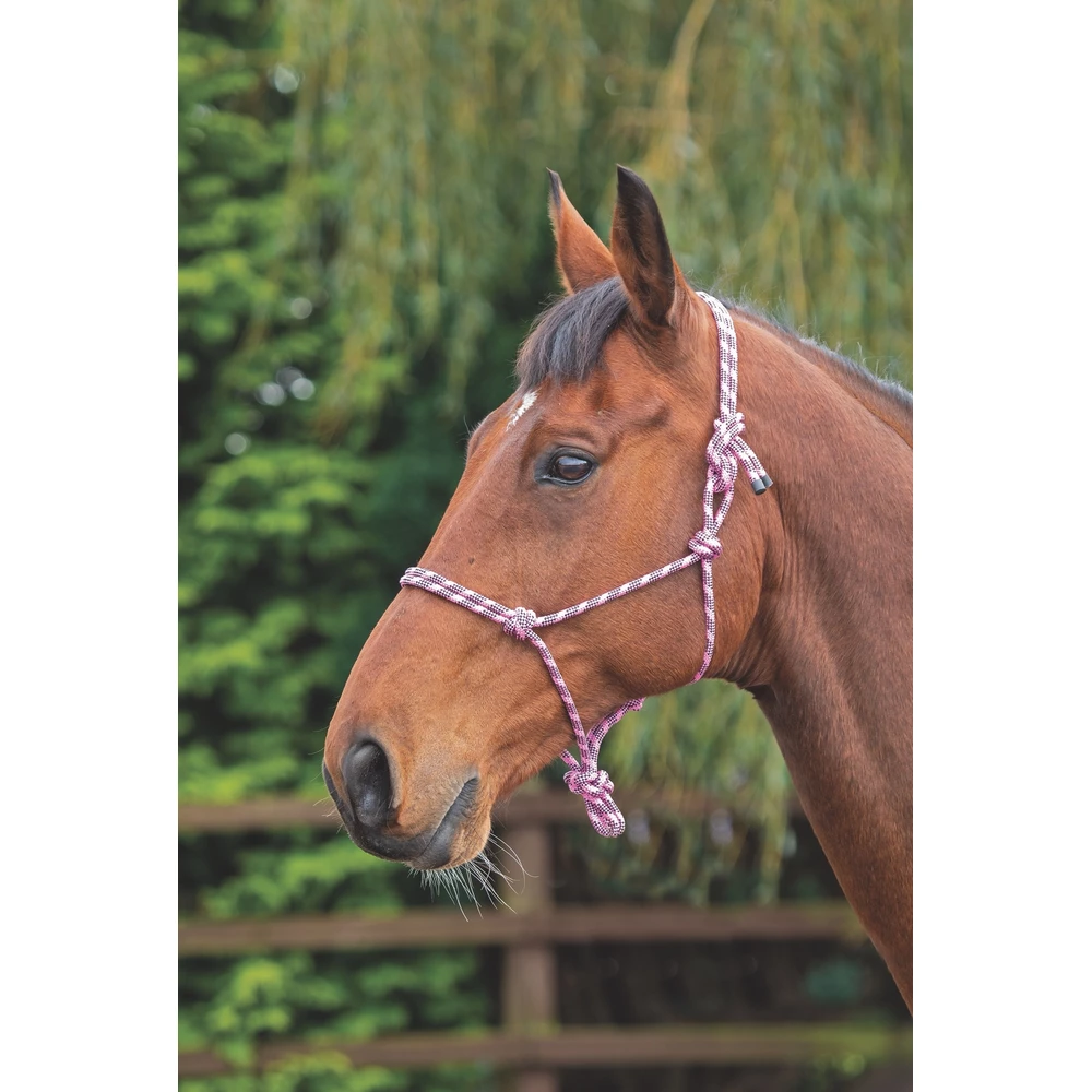 Shires Rope Control Headcollar in Pink/Black