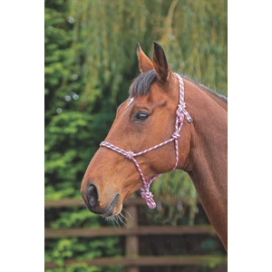 Shires Rope Control Headcollar in Pink/Black