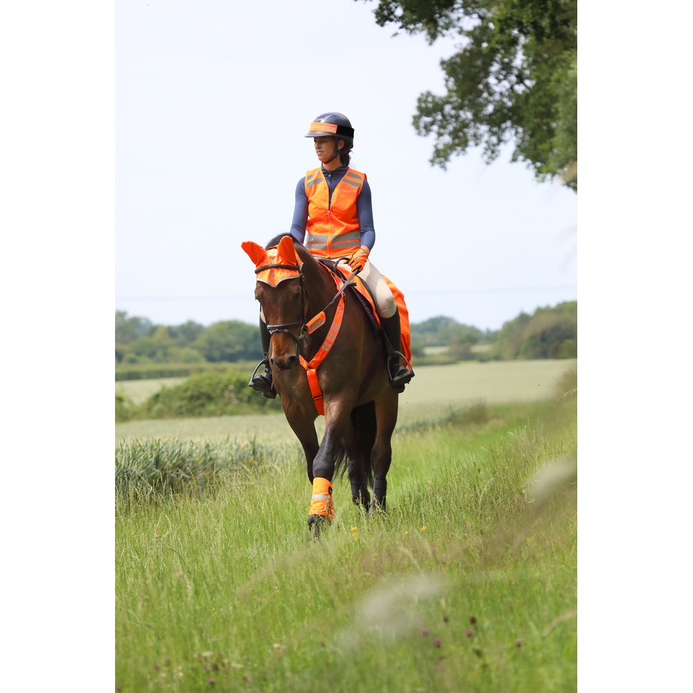 Equi-Flector EQUI-FLECTOR - Bridle Bands