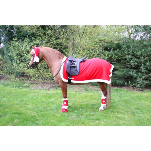 Hy Equestrian Hy Christmas Santa Exercise Sheet - Red/White in Red/White