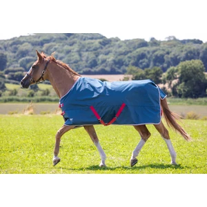 Tempest Original Lite Turnout 0g Rug - Teal 