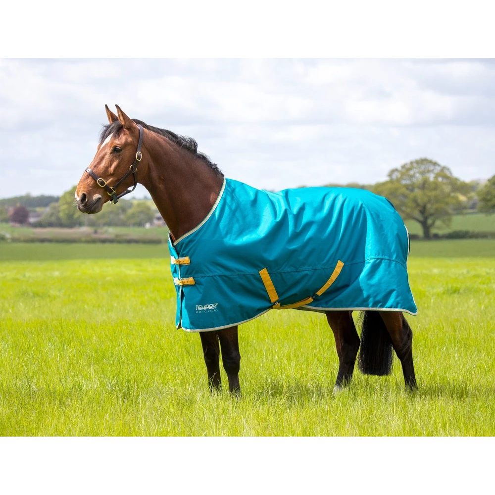 Tempest Original 50 Turnout Rug - Blue in Blue