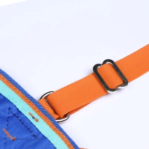 Tempest Original 50g Combo Turnout Rug - Royal in Royal Blue