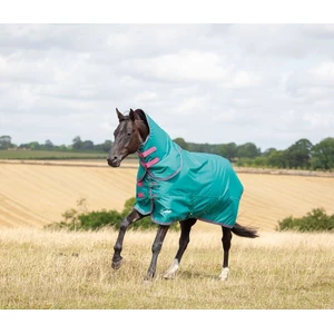 Tempest 100g Original Lite Turnout Rug & Neck - Teal in Teal