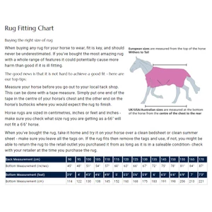 Tempest 100g Original Lite Turnout Rug & Neck - Teal 