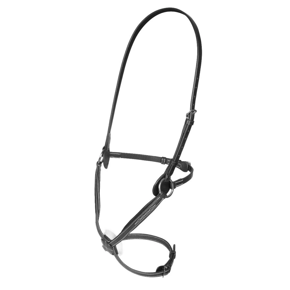 Salisbury Brackley Noseband in Black