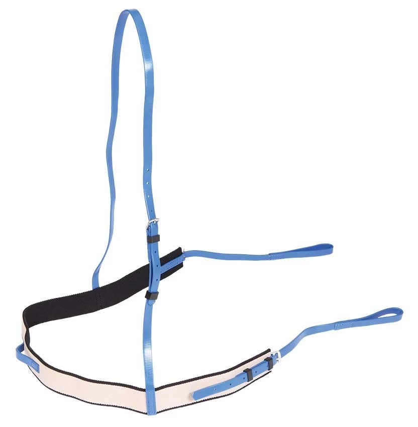 Zilco Race Breastplate Elastic in Royal Blue