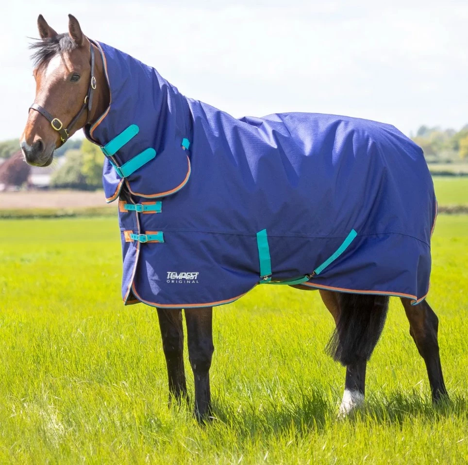 Tempest Original 100g Combo Turnout Rug in Navy/Blue