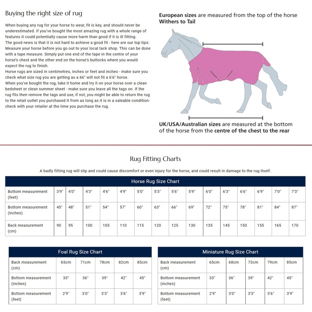 Tempest Original 100g Combo Turnout Rug