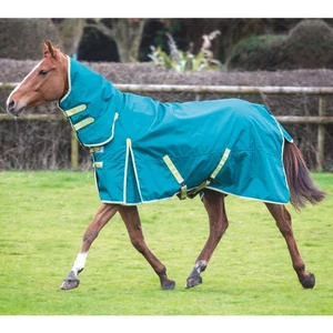 Bridleway Ontario 100g Combo Turnout Rug - Green 