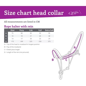 QHP Rope Halter With Rein - Passion Flower in Passion Flower