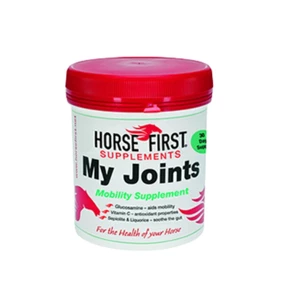 Horse First My Joints in Unknown