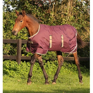 Horseware Amigo Amigo Foal Rug 200g Ripstop in Fig/Navy/Tan