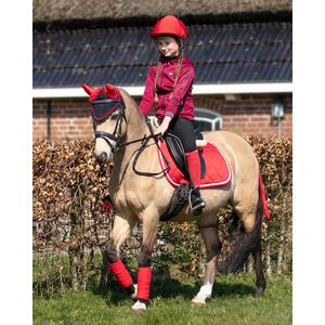 QHP Riding whip Halloween - Devil in Devil