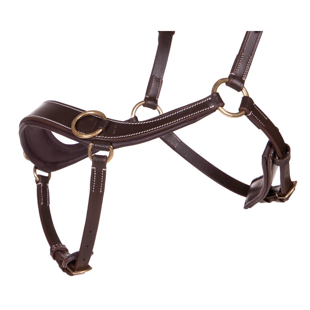 Dy'On - Bridon Muserolle Combinée Anatomique D Collection Marron - Myver Sellerie