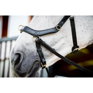 Horseware HW Micklem 2 Multi Bridle - Black in Black