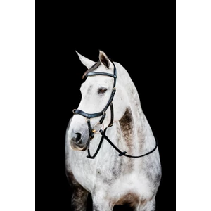 Horseware HW Micklem 2 Multi Bridle - Black in Black