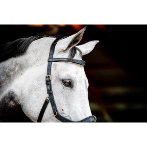 Horseware HW Micklem 2 Multi Bridle - Black in Black