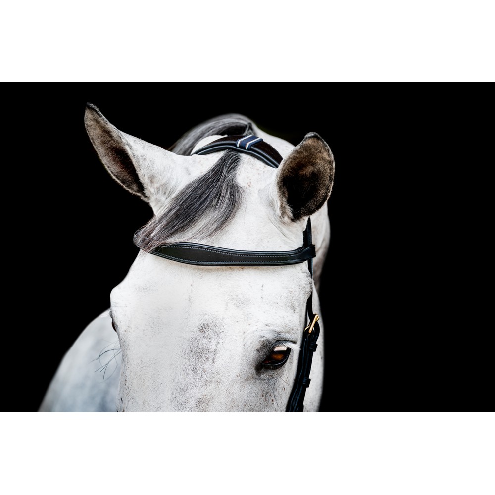 Horseware HW Micklem 2 Multi Bridle - Black