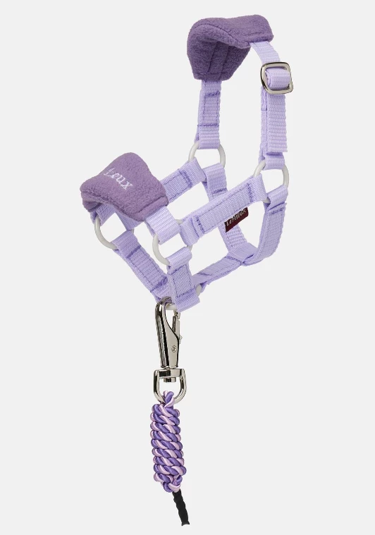 LeMieux Toy Pony Headcollar - Wisteria in Wisteria