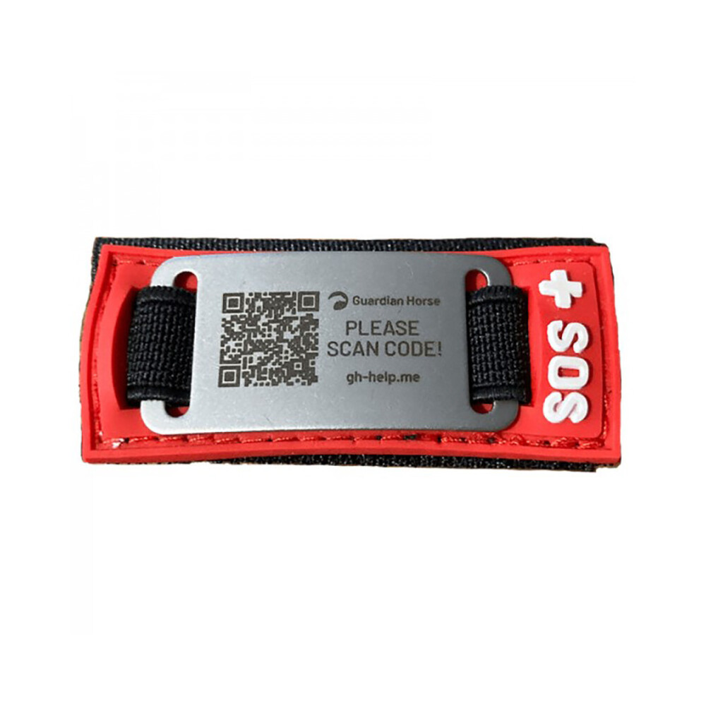 Guardian Horse helmet Clip in Unknown