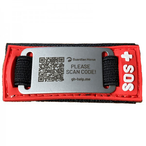 Guardian Horse helmet Clip in Unknown