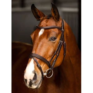 LeMieux Arika Flash Bridle - Brown/Silver in Brown/Silver