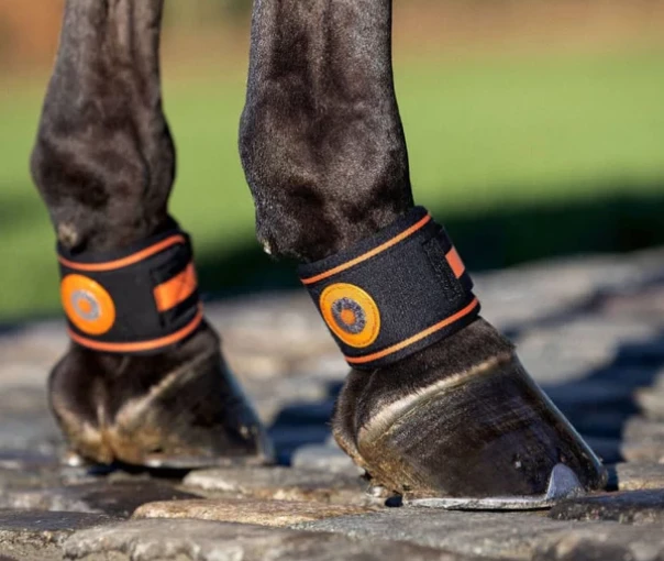 LeMieux Magno Pastern Wrap - Black in Black